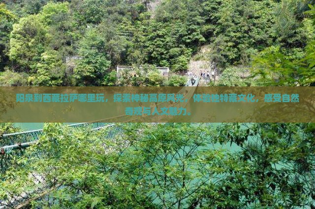 阳泉到西藏拉萨哪里玩