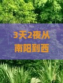 南阳到西藏鲁朗小镇攻略