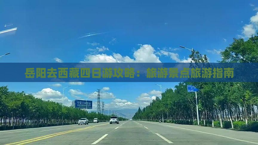 岳阳去西藏四日游