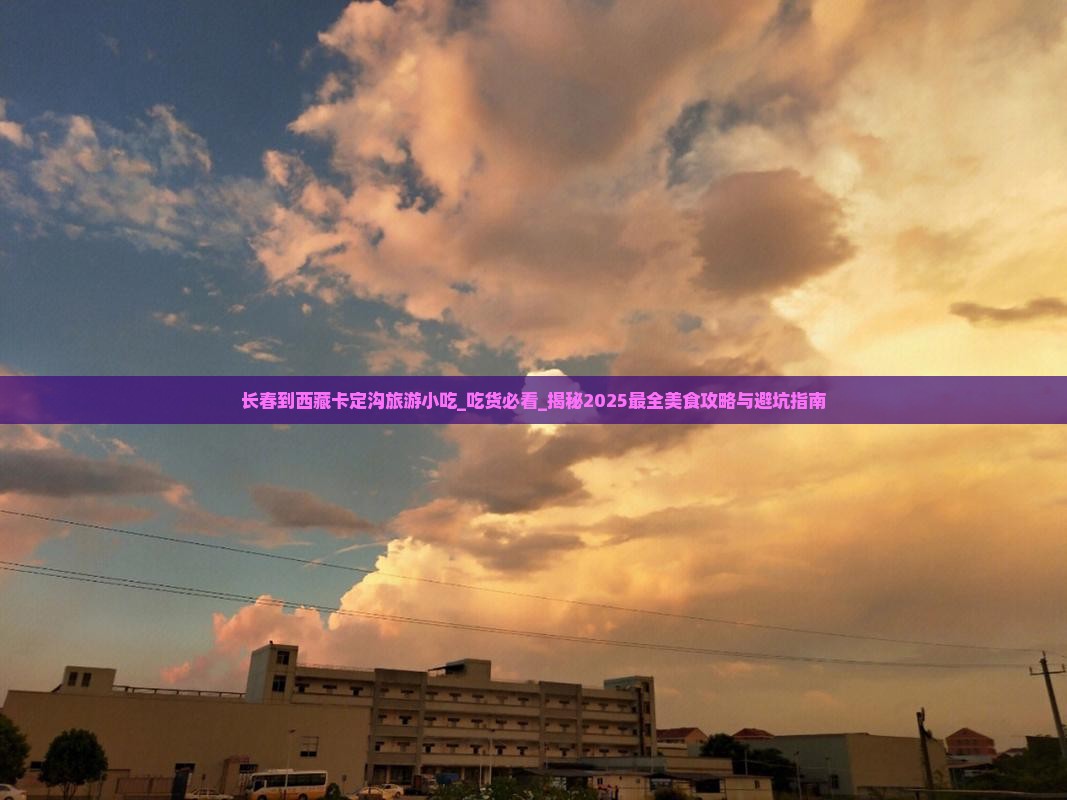 长春到西藏卡定沟旅游小吃