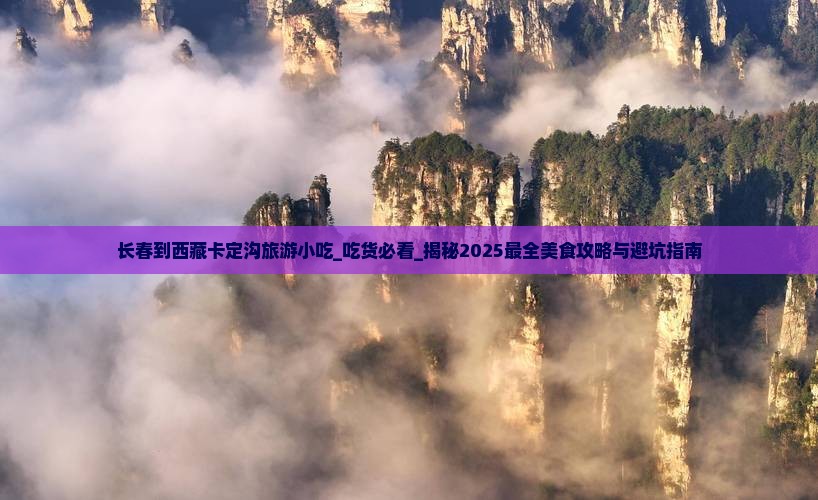 长春到西藏卡定沟旅游小吃