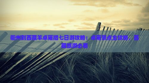 衢州到西藏羊卓雍措七日游