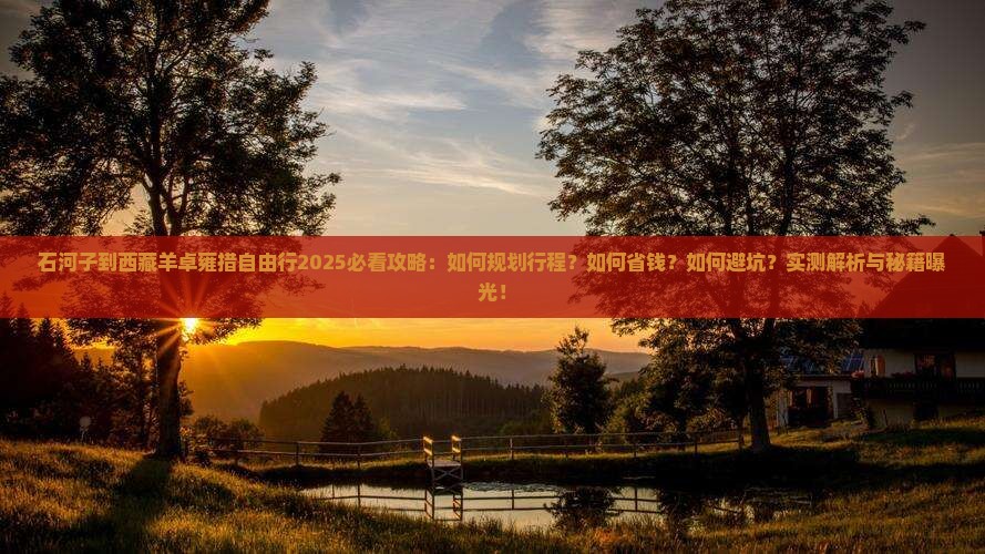 石河子到西藏羊卓雍措自由行
