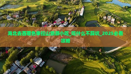 海北去西藏色季拉山旅游小吃