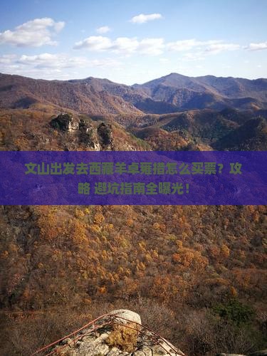 文山去西藏羊卓雍措门票