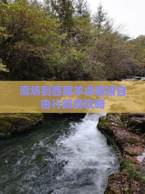 廊坊到西藏羊卓雍措自由行