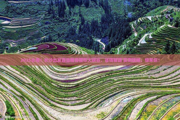 长沙到西藏雅鲁藏布大峡谷自由团