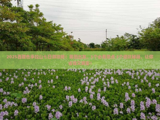 莆田去西藏色季拉山七日游