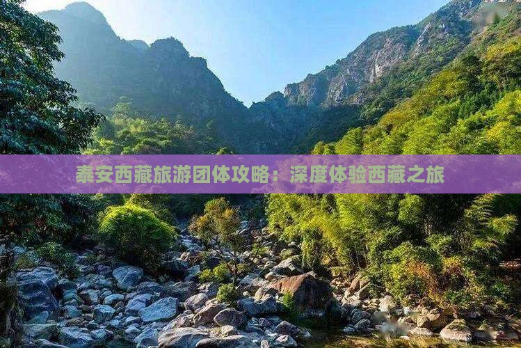 泰安去西藏团体旅游 泰安去西藏团体旅游