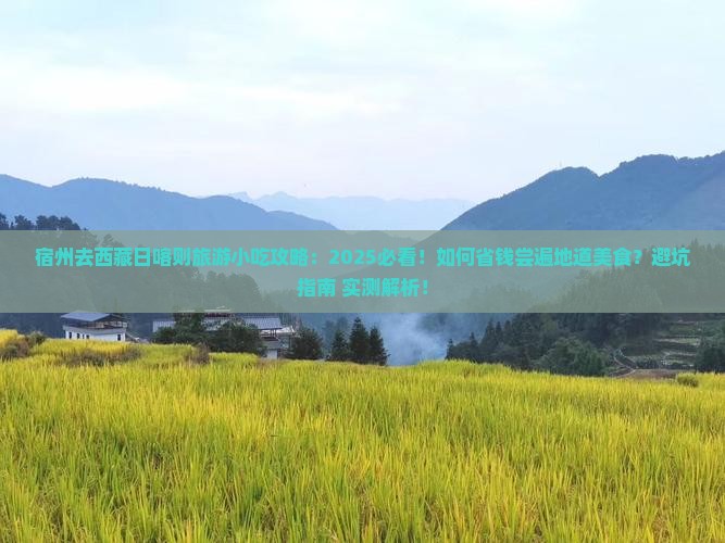 宿州去西藏日喀则旅游小吃