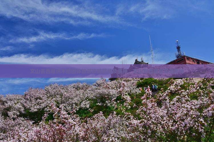 文山去西藏纳木措团体旅游