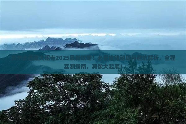 滨州去西藏大昭寺旅行社
