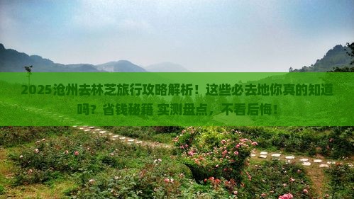 沧州去西藏林芝必去地