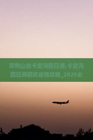 双鸭山去西藏卡定沟四日游