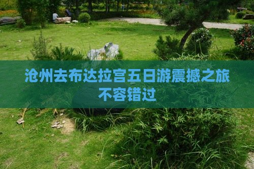 沧州去西藏布达拉宫五日游