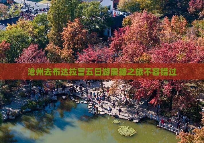 沧州去西藏布达拉宫五日游