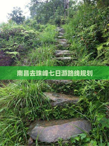南昌去西藏珠峰大本营七日游