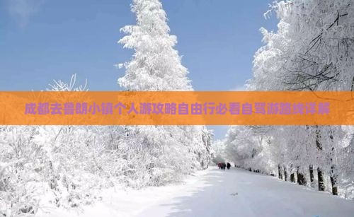 成都去西藏鲁朗小镇个人游
