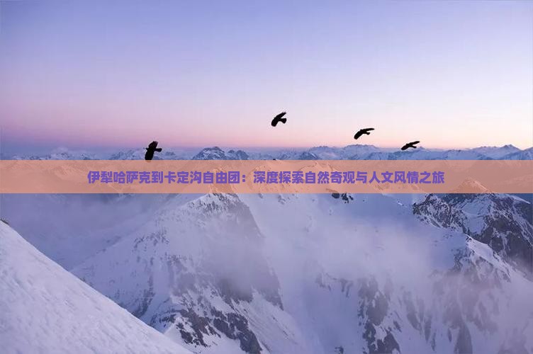 伊犁哈萨克到西藏卡定沟自由团