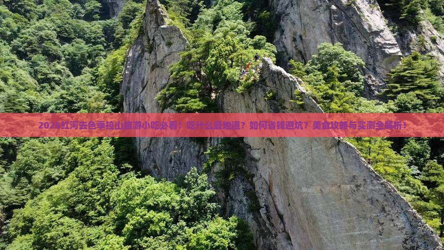 红河去西藏色季拉山旅游小吃