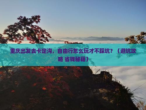 重庆去西藏卡定沟自由行