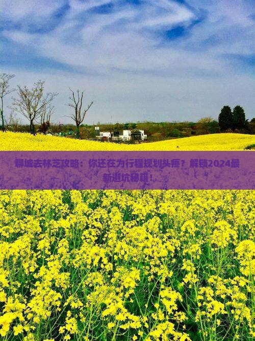 聊城去西藏林芝攻略