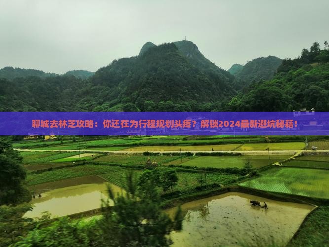 聊城去西藏林芝攻略
