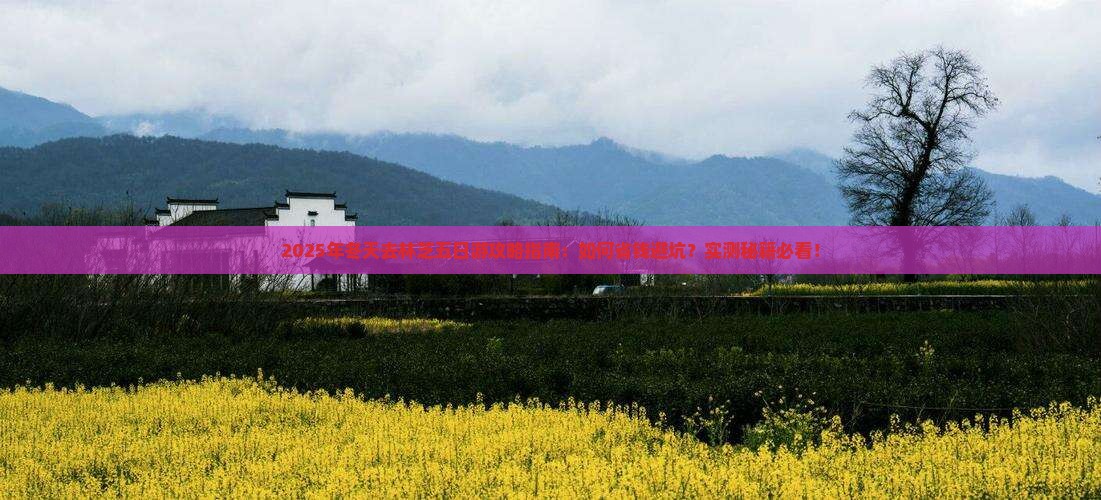 冬天去西藏林芝五日游