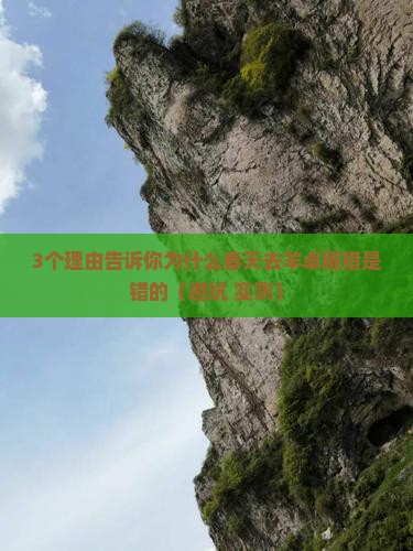 春天去西藏羊卓雍措一日