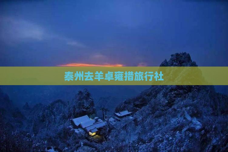 泰州去西藏羊卓雍措旅行社