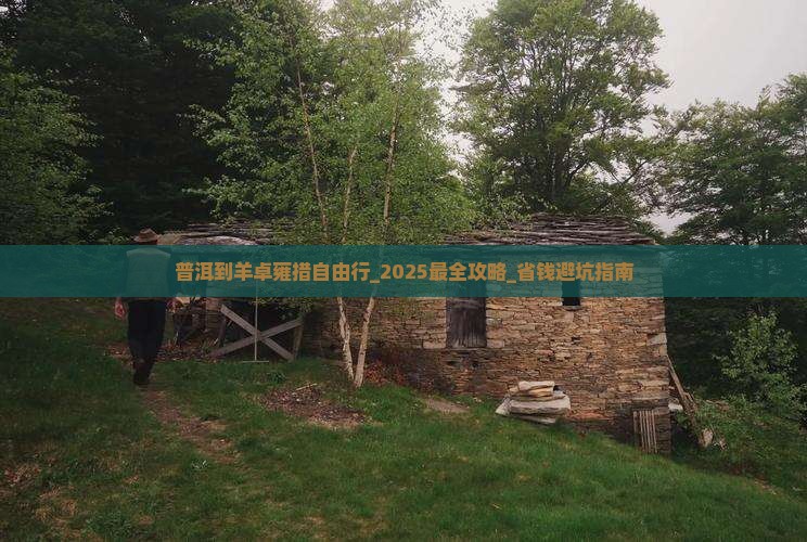 普洱到西藏羊卓雍措自由行
