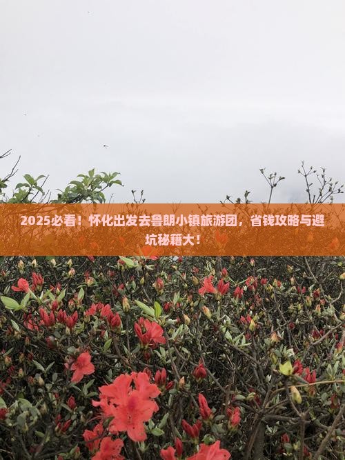 怀化去西藏鲁朗小镇大型旅游团