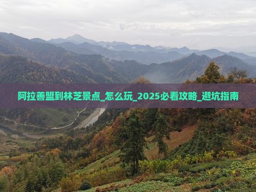 阿拉善盟到西藏林芝景点