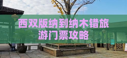 西双版纳去西藏纳木措门票