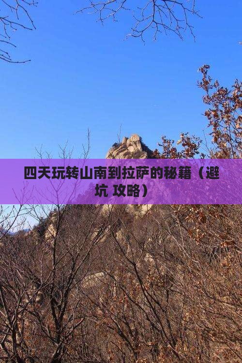 山南去西藏拉萨四日游