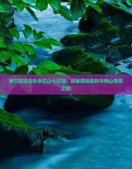 博尔塔拉去色季拉山七日游：探秘原始森林与神山奇观之旅