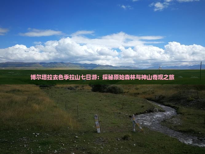 博尔塔拉去色季拉山七日游：探秘原始森林与神山奇观之旅