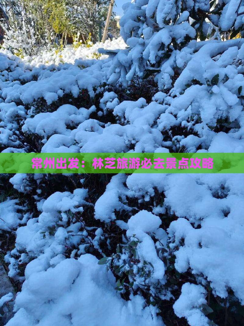 常州出发：林芝旅游必去景点攻略