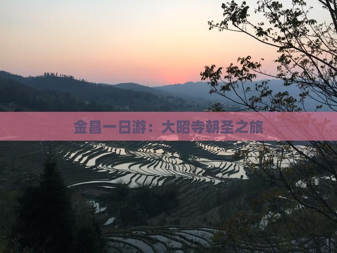 金昌一日游：大昭寺朝圣之旅