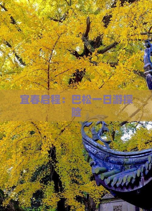 宜春启程：巴松一日游探险