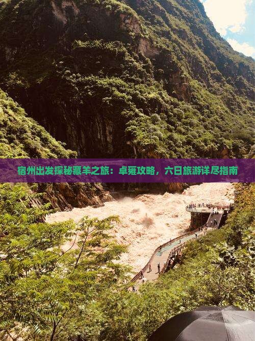 宿州出发探秘藏羊之旅：卓雍攻略，六日旅游详尽指南