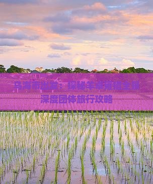 乌海市出发:探秘羊卓雍措全景深度团体旅行攻略 乌海市出发:探秘羊卓雍措全景深度团体旅行攻略