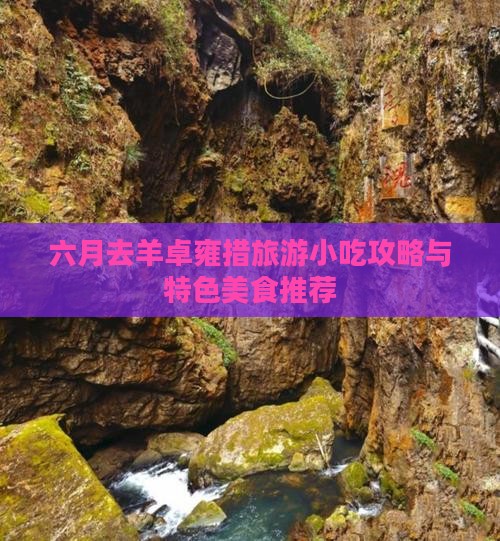 六月去羊卓雍措旅游小吃攻略与特色美食推荐