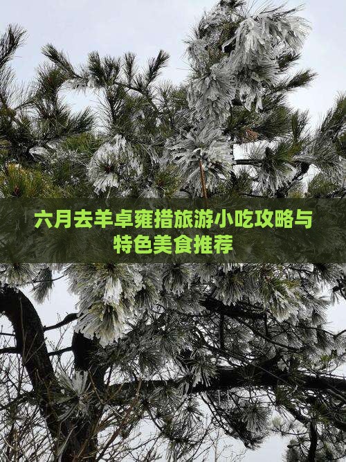 六月去羊卓雍措旅游小吃攻略与特色美食推荐