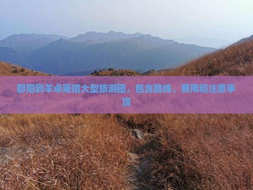 邵阳到羊卓雍措大型旅游团，包含路线、费用和注意事项