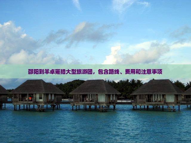 邵阳到羊卓雍措大型旅游团，包含路线、费用和注意事项