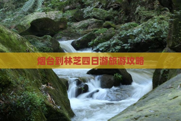 烟台到林芝四日游旅游攻略
