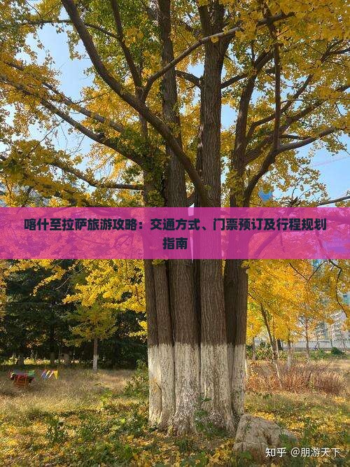 喀什至拉萨旅游攻略：交通方式、门票预订及行程规划指南