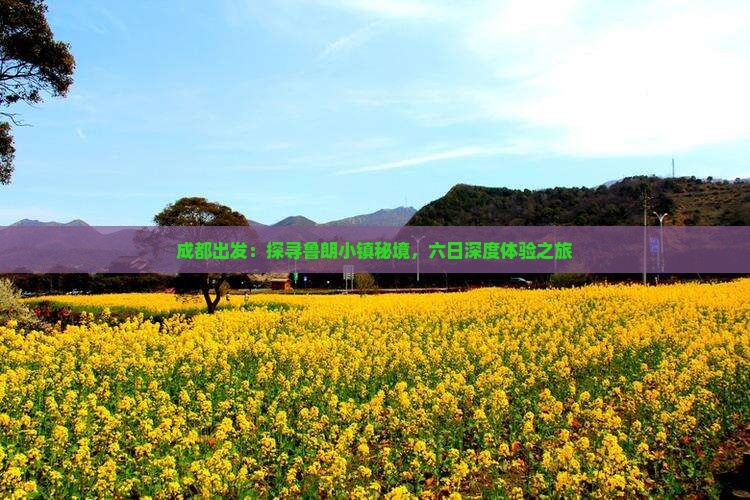 成都出发：探寻鲁朗小镇秘境，六日深度体验之旅