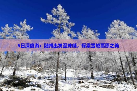 5日深度游：随州出发至珠峰，探索雪域高原之美